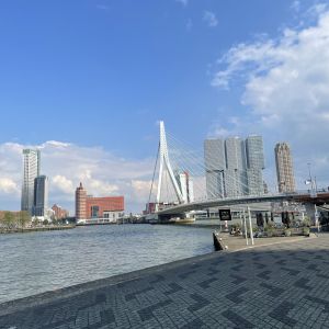 FOS Technik und Ernährung unterwegs: Der Traum von Rotterdam